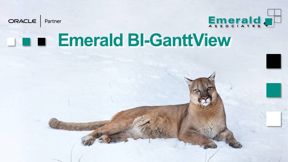 Comparing Progress Snapshots in Emerald BI-GanttView